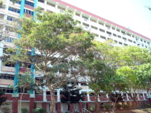 Blk 851 Woodlands Street 83 (Woodlands), HDB 4 Rooms #347462